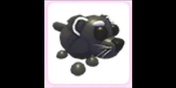 Binturong - Adopt Me