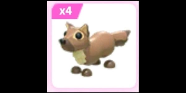 Pine Marten - Adopt Me
