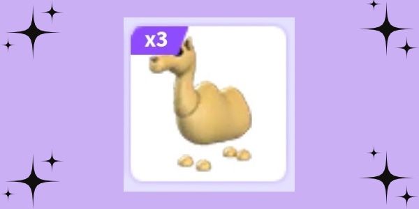 Camels