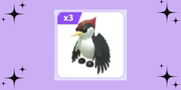 Woodpeckers