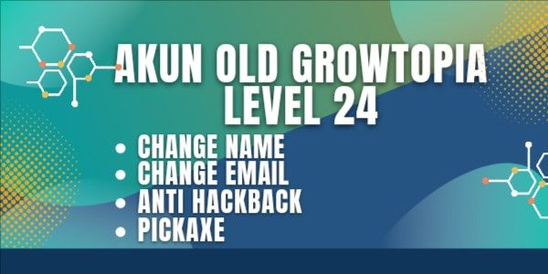 old level 24 account