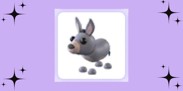 Donkey
