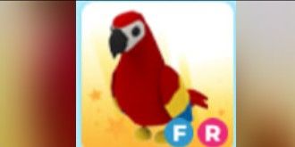FR Parrot - Adopt Me