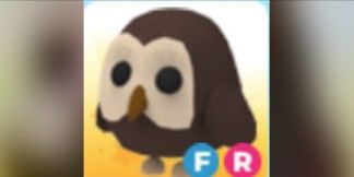 FR Owl - Adopt Me