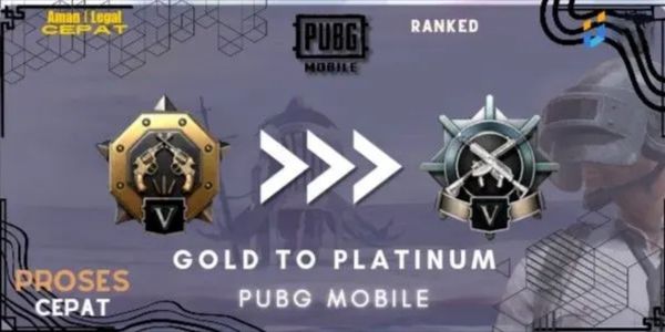 Gold To Platinum