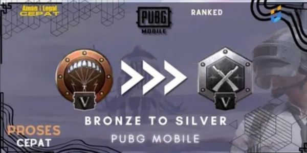 Bronze To Silver