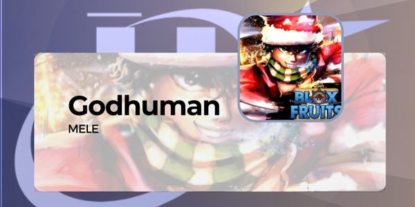Fighting Style - Godhuman
