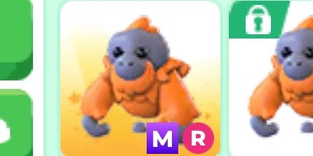 Mr Orangutan