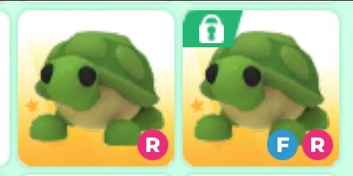 r turtle + fr turtle