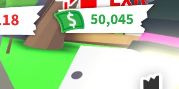 1,000 bucks | adopt me