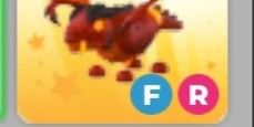 Lava dragon FR - Adopt me