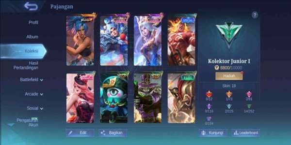 Cheap Skins Limit Zilong Account l Selena