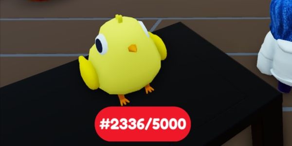 Bid Battles - Pet Chick #2336