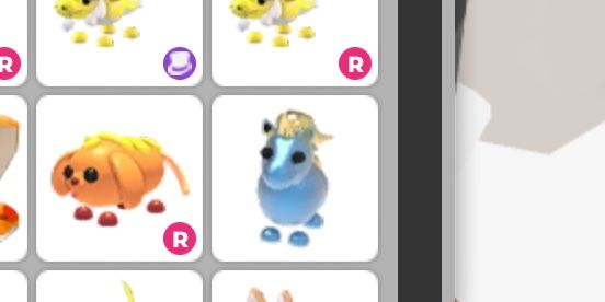 diamond unicorn ;pet