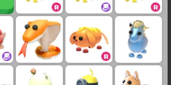ride corn doggo ; pet