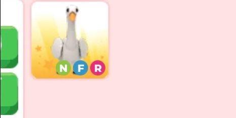 Swan NFR - Adoptme
