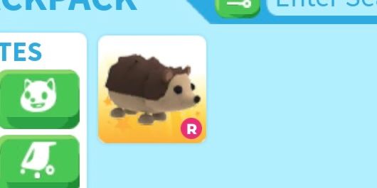 Hedgehog R - Adoptme