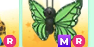 mega ride green butterfly