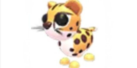 Cheetah - Adopt Me