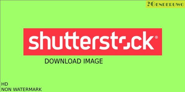 Shutterstock Download Services