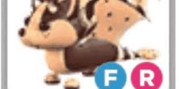 chocolate chip bat dragon fr