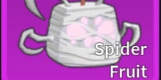 SPIDER FRUIT-BLOX FRUIT