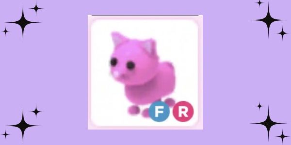 FR Pink Cat