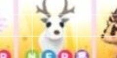 NFR arctic reindeer adopt me