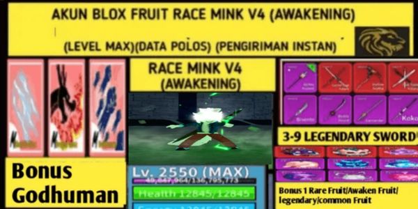 Blox Fruit Race Mink V4 T1 Account (Max Level) (Plain Data) (Many Bonuses)