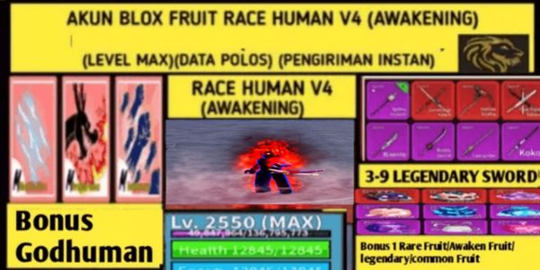 Blox fruit Race Human V4 T1 (Awakening) Account (Level Max) (Plain Data)