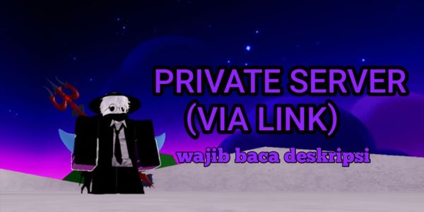 Private server (link)