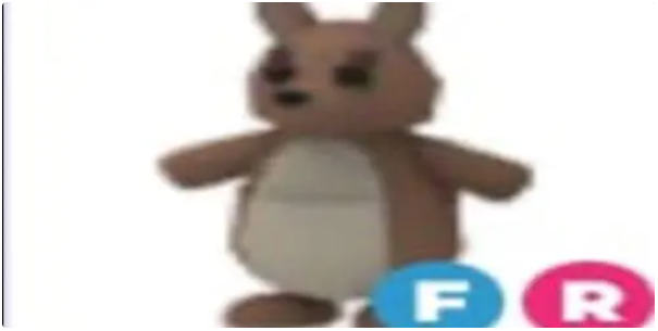Kangaroo
