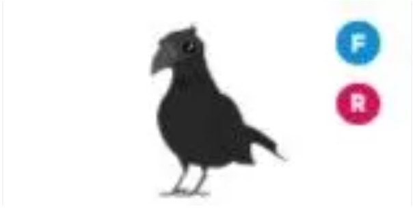 Crow