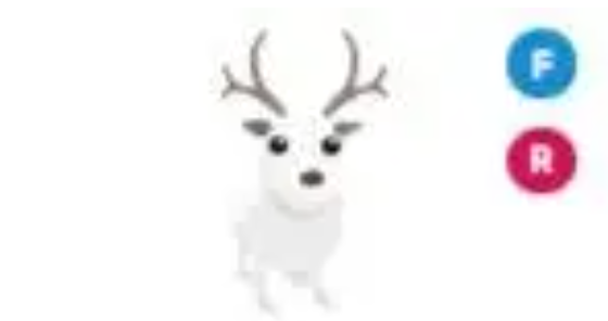 Arctic Reindeer