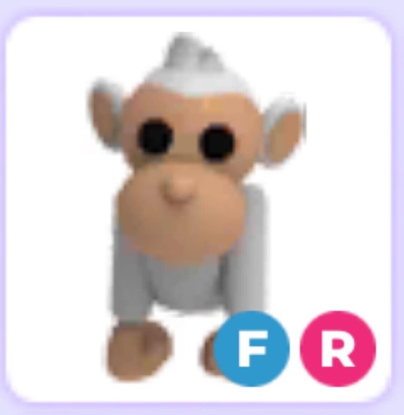 Albino Monkey