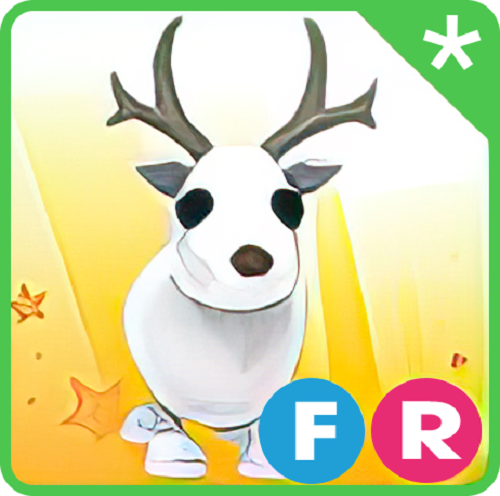 Reindeer