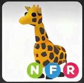 NFR Giraffe