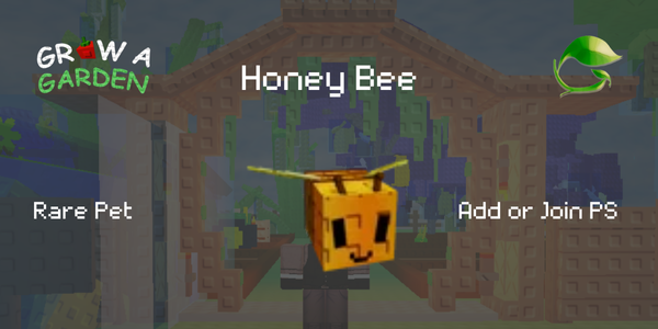 Honey Bee - Limited Pet