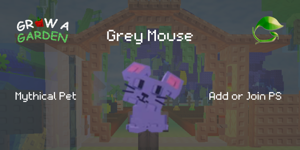 Grey Mouse