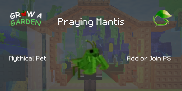 Praying Mantis