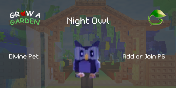 Night Owl - Limited Pet