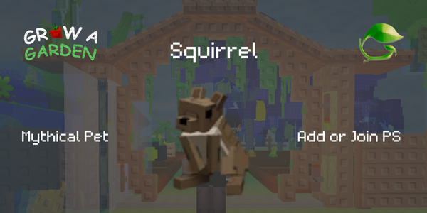 Squirrel