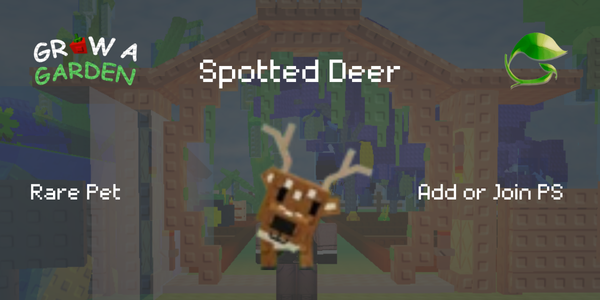 Spotted Deer