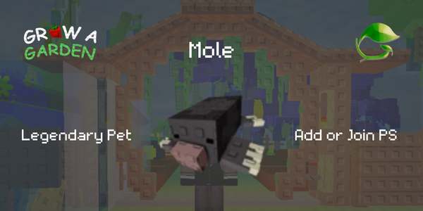 Mole - Limited Pet