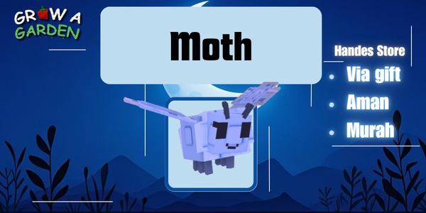 Pet Moth