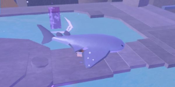 blob shark