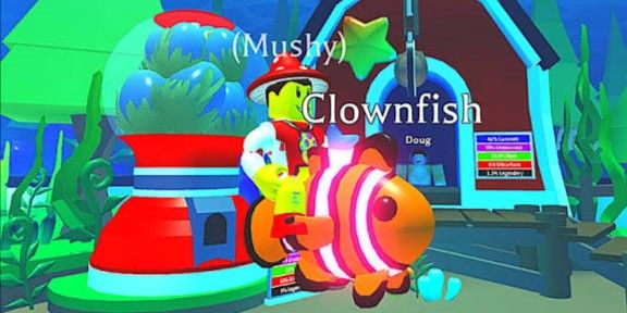MFR Clownfish