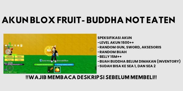 BLOX FRUIT ACCOUNT – BUDDHA FRUIT (NOT EATEN)