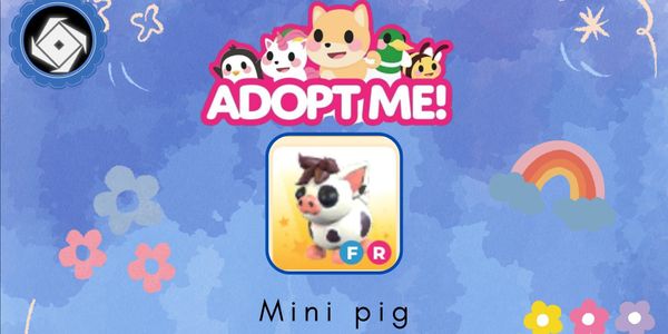 Mini Pig