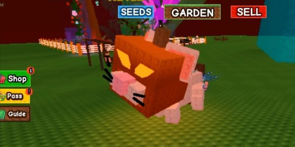 Pumpkin Rat base 4+kg
